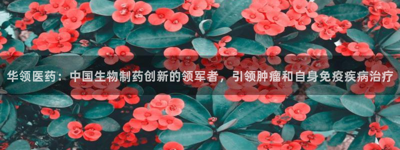 九游会贴吧