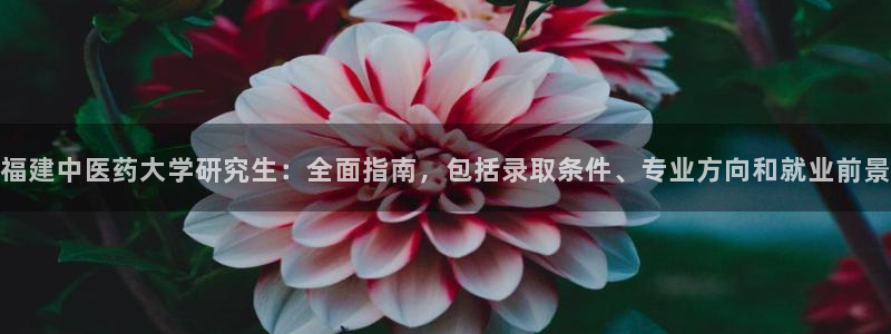 九游会首页