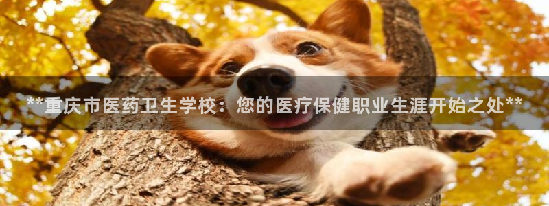 九游会j9官网登陆
