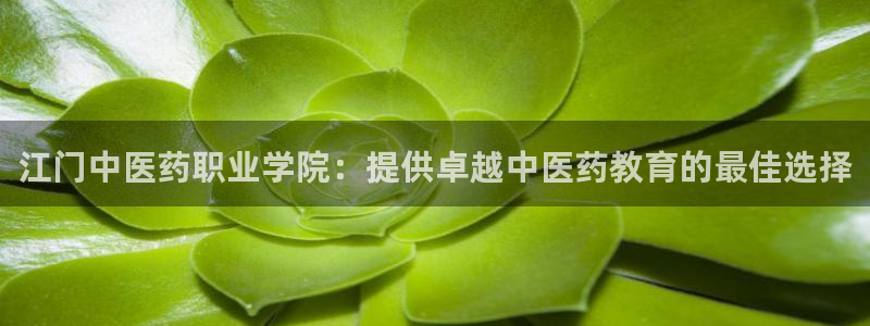九游会ag真人官网在哪