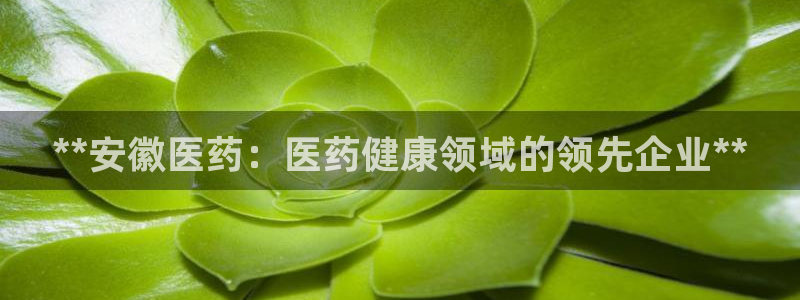 九游会app下载版官网正版手游