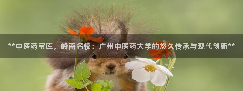 九游会官方旗舰店