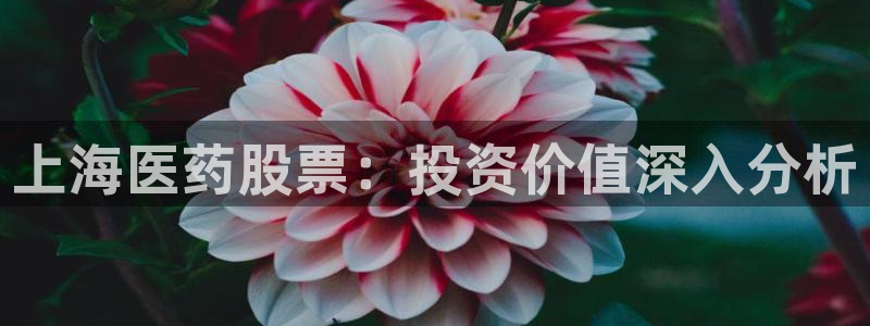 ag改名九游会