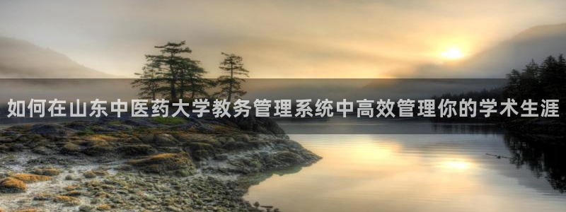 九游会官方下载