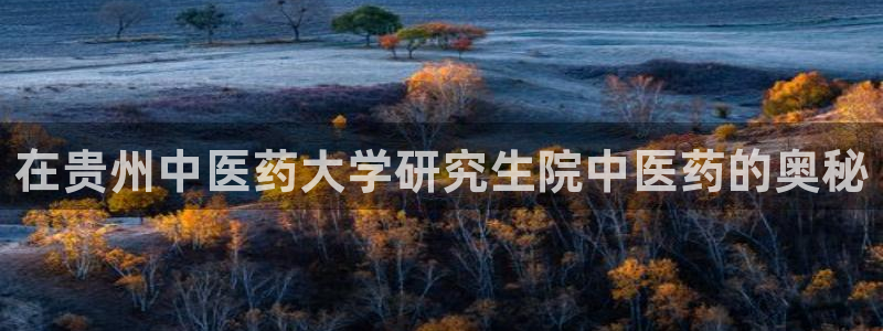 九游会是不是黑网