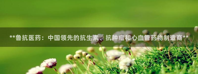 九游会平台怎么样
