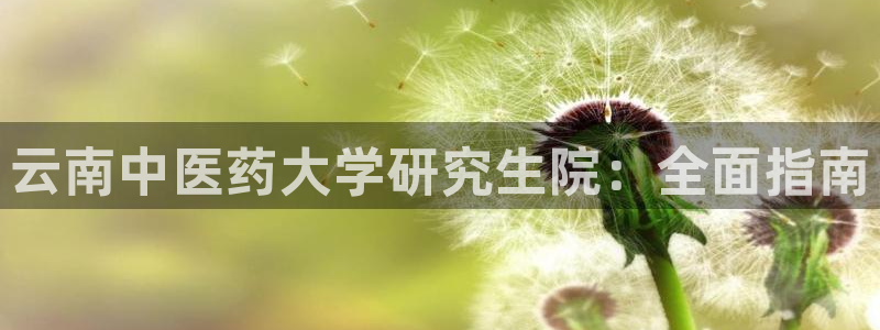 j9九游会真人游戏第一品牌