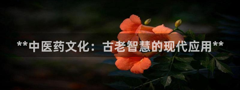 九游官网首页进入j9