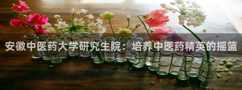 九游会 a g