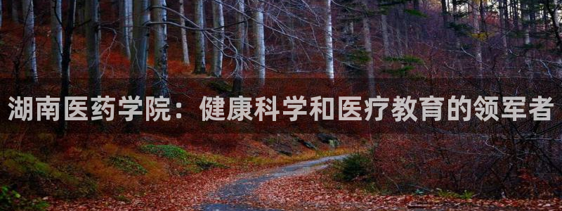 ag变成九游会