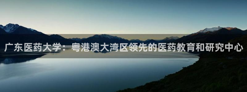 ag改名九游会