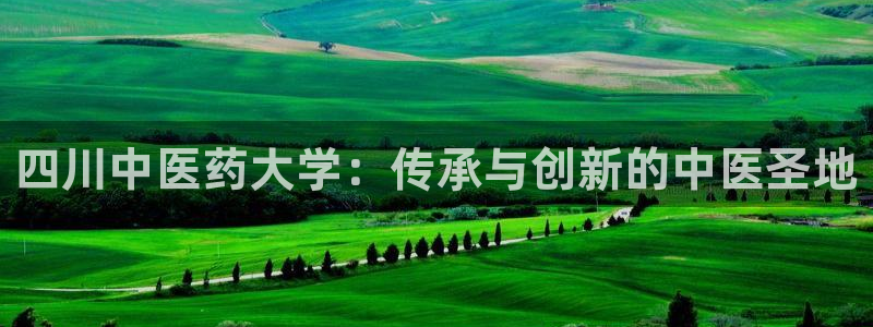 j9官网登录入口网页