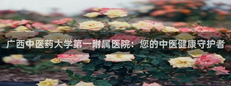 九游会官方网站登陆