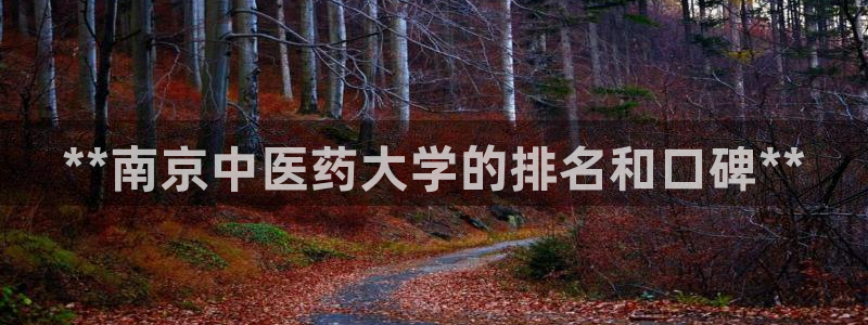 九游会怎么提款