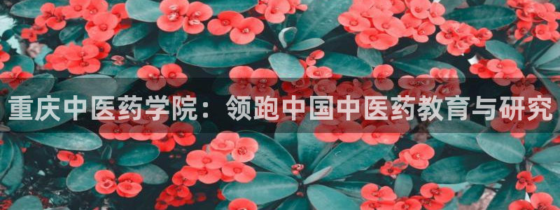 九游会平台入口