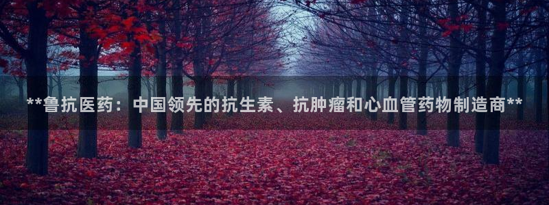 九游会j9全站平台