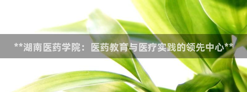九游会官网地址