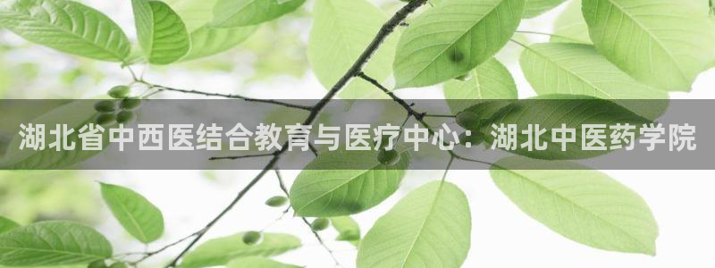 九游会数字货币