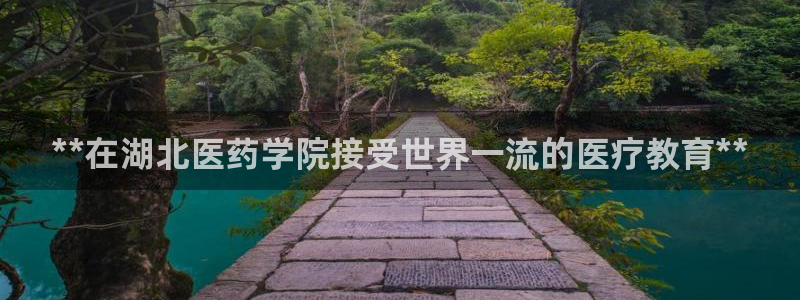 j9九游会官方登录