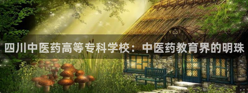 九游会官网首页入口