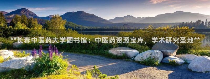 九游会主页
