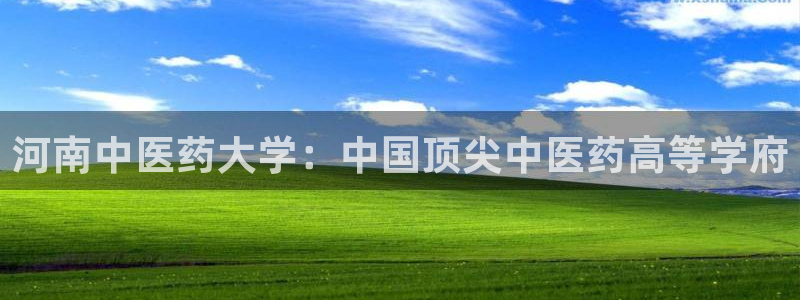 ag改九游会