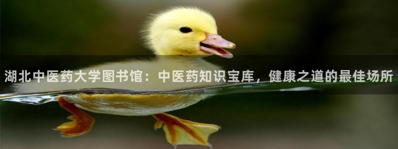 九游会官网在线