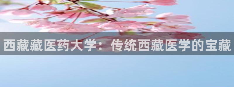 九游会app官方