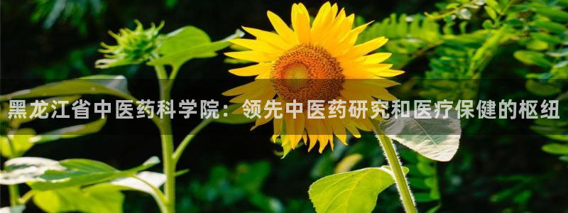 J9九游会九游国际版