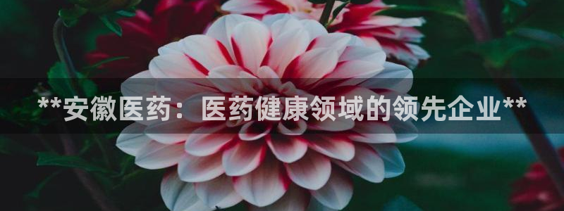 J9九游会ag