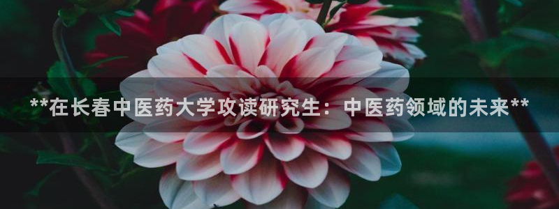 ag老队