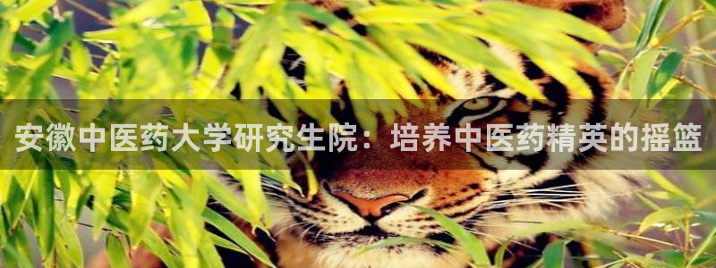j9九游会app在哪里