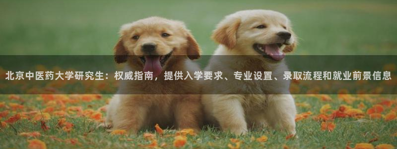 j9九游会登录入口首页新版