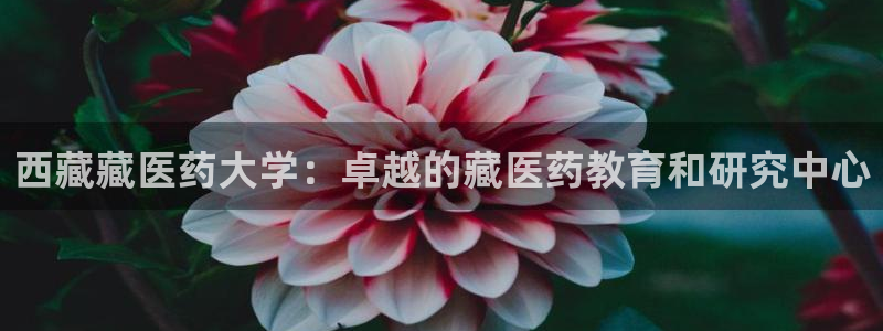 九游会官