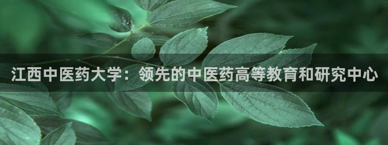 j9九游会合法吗