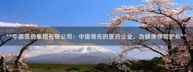 九游会官