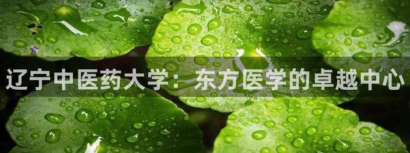 九游会ag登陆