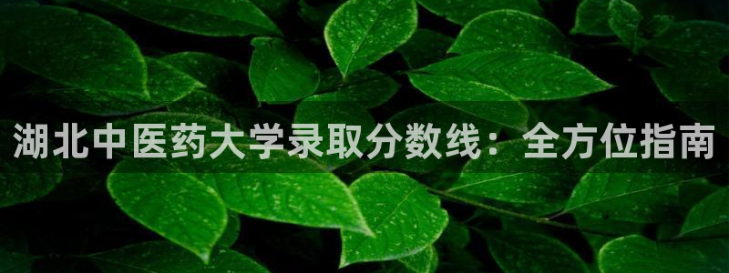 九游会贴吧