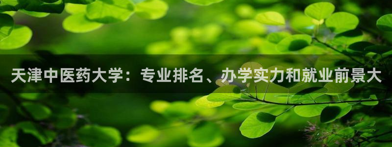 j9九游会会员日