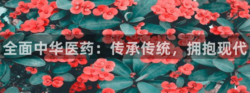 九游会登录网址