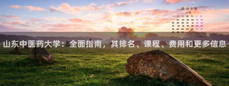 九游会ag登录j9