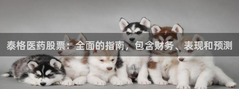 九游会官网真人游戏第一品牌