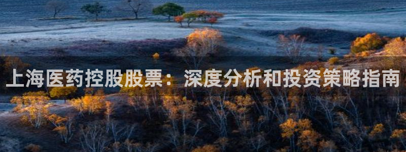 九游会官网j9