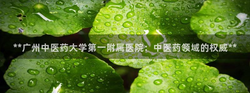 九游会ag官方网站
