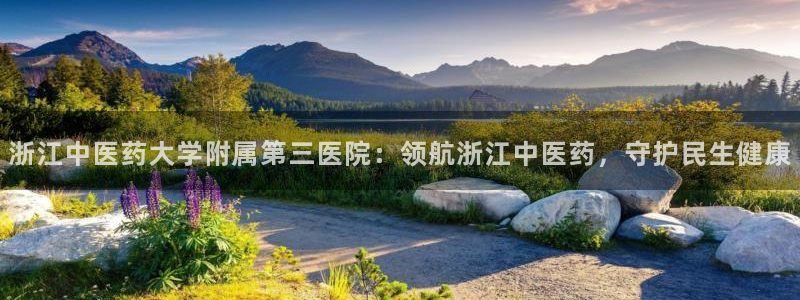 九游会中国j9