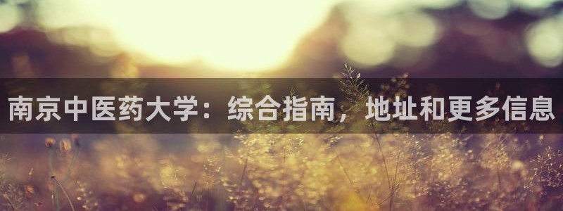 九游会官方地址