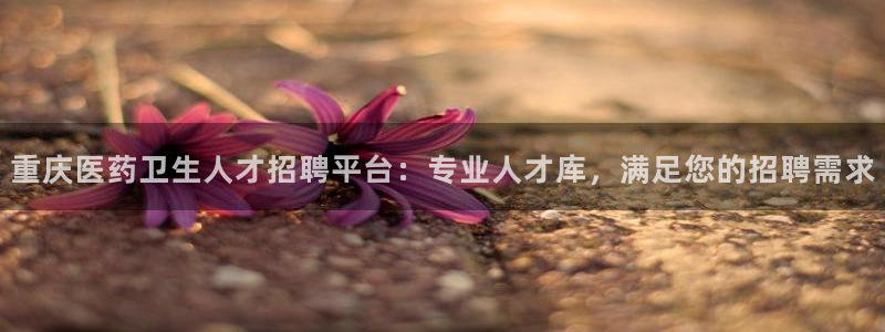 ag老玩家