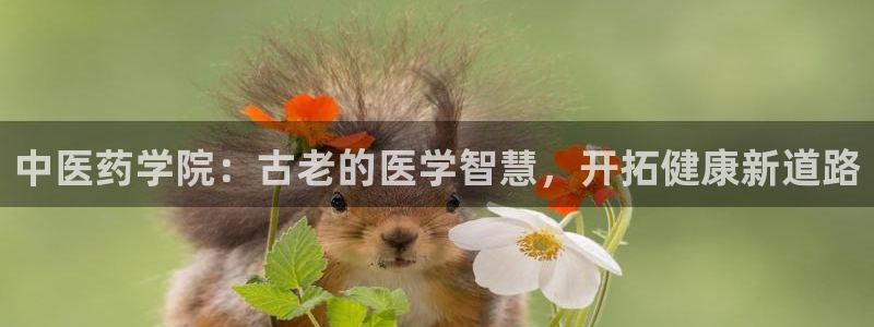 九游会游戏平台