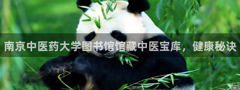 J9九游会集团