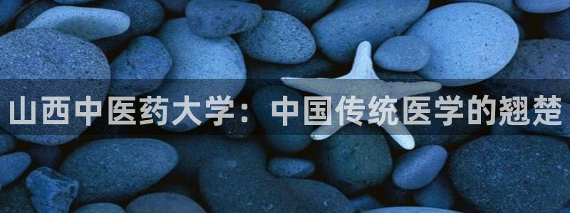 ag改名九游会